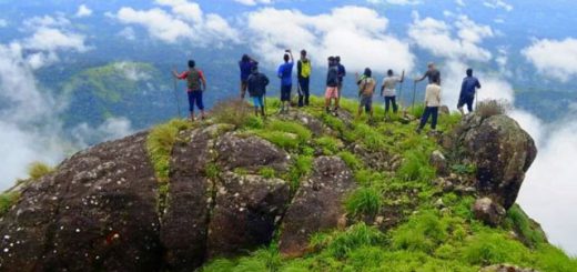 munnar tour packages for couple